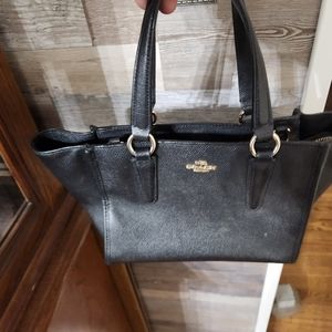 Mini Coach purse